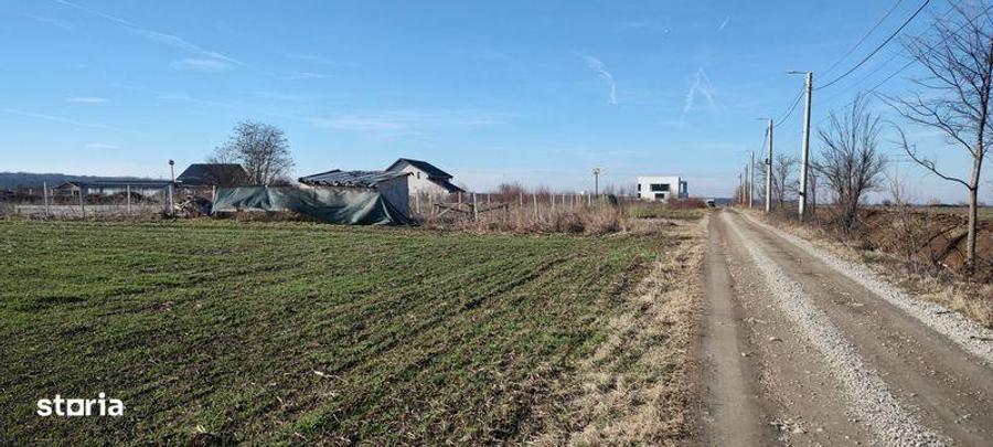 Proprietar vand parcela de teren 700 mp Otopeni Odai - 1