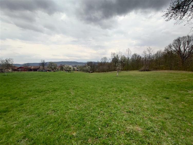 10 000 mp teren intravilan cu priveliste - 1