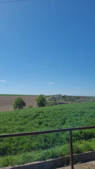 Fermă de vânzare - DN3 - 84m deschidere - 17