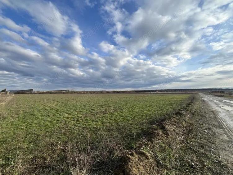 Oportunitate investitionala sau teren pretabil pentru constructii - 8