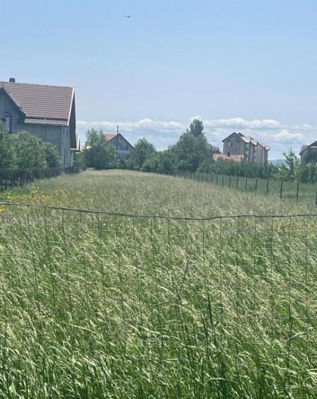 Teren intravilan ,2000 mp,Radauti - 3