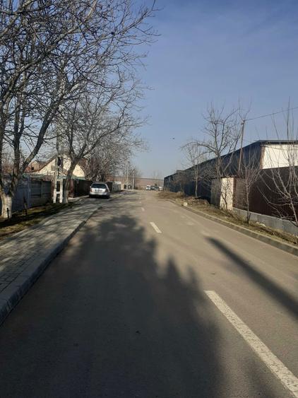 Vand teren intravilan in Tg.Frumos - 8