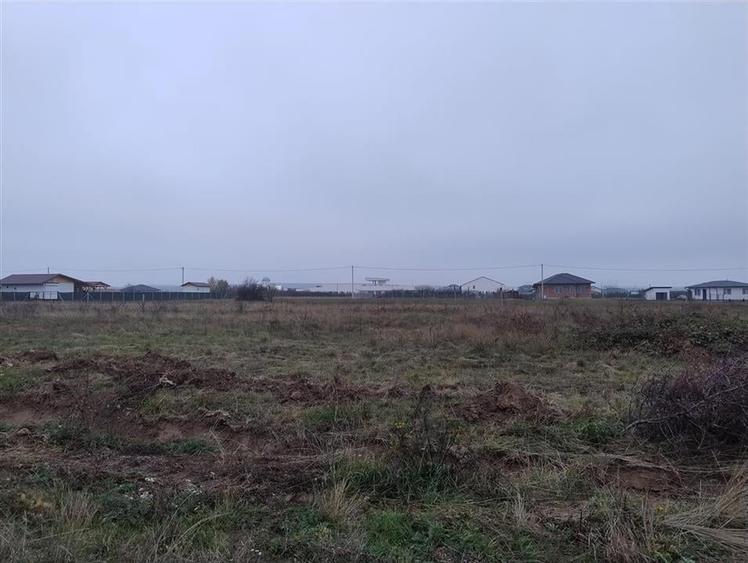 RECO Teren intravilan in Cihei - 1