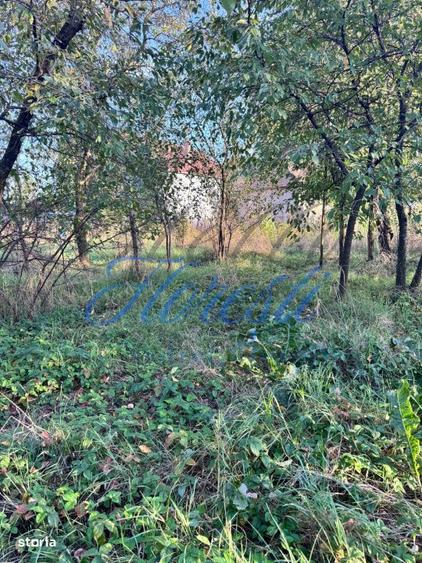 Oportunitate , teren intravilan Luna de sus 28 ml front stradal, 5800m - 2