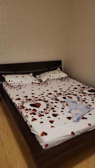 Garsoniera Piata Progresul de inchiriat - 3