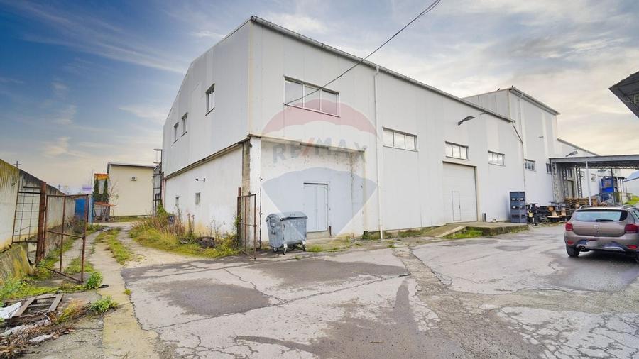 Hala industrială – investiție stabilă sau potențial operațional - 8