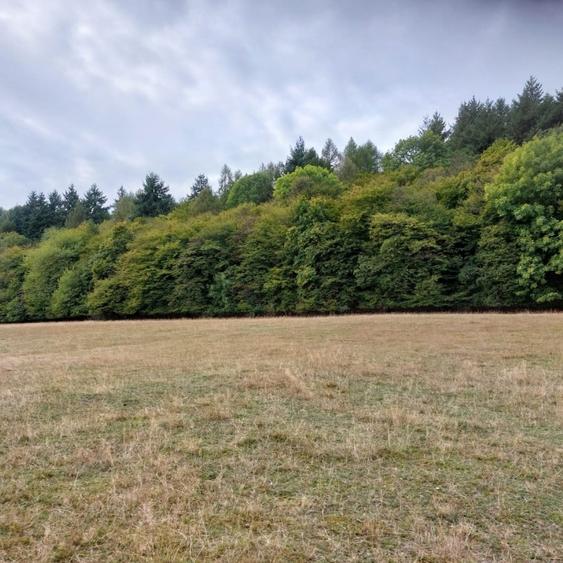 Parcela cu proiect autorizat, 60 euro/mp, Corusu! - 2