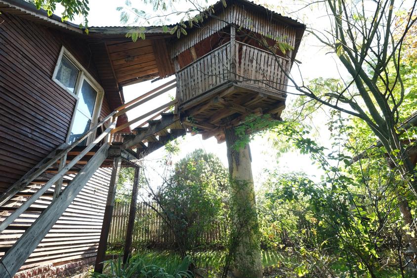 Com. Ileana, 4000 mp. teren intravilan si casa de vacanta cu deschidere la Balta - 6