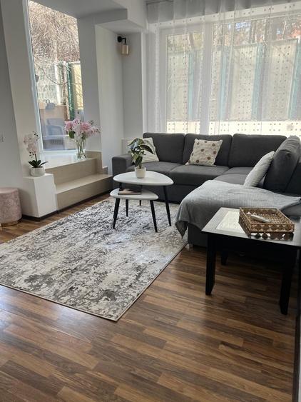 Herastrau- Soseaua Nordului - apartament cu terasa/curte proprie - 12