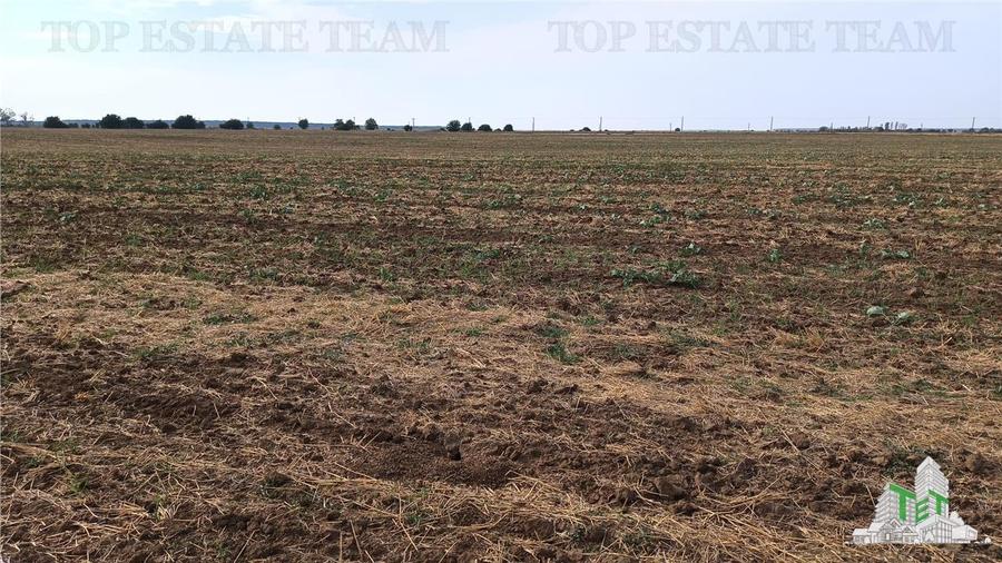 Oferim spre vanzare 6 loturi de teren extravilan (agricol) in Petrachioaia ILFOV - 13