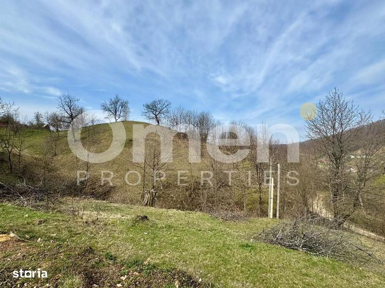 Teren intravialn | 6476 mp | Ulmoasa | zona superba - 3