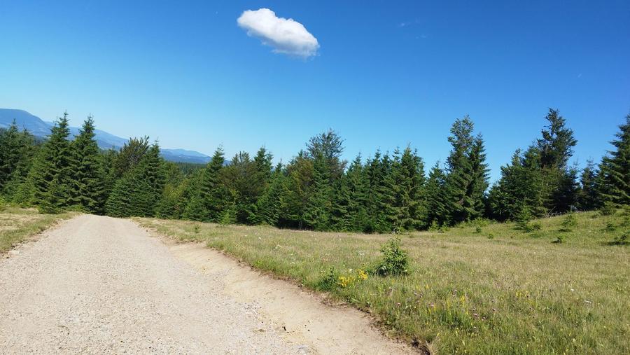 Teren Piatra Fantanele / Pasul Tihuta 1.450 euro/ar - 6