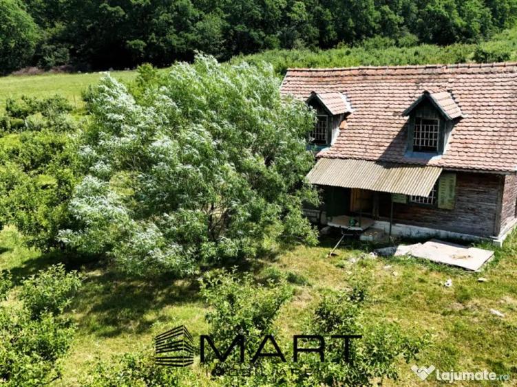 Teren extravilan 5000mp zona Cisnadie - 3