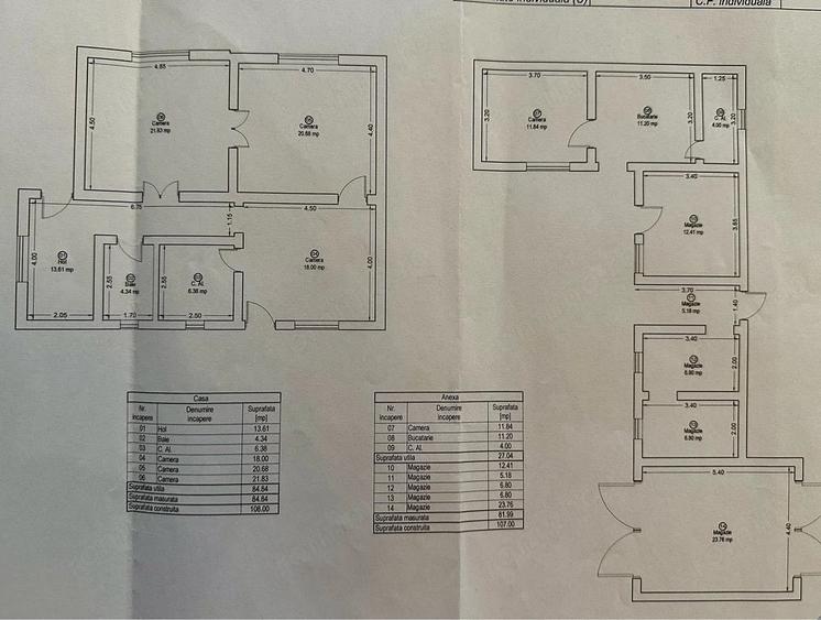 Casa cu teren 2.900 mp ?i posibilitate dezmembrare Gavojdia, Timi? - 8
