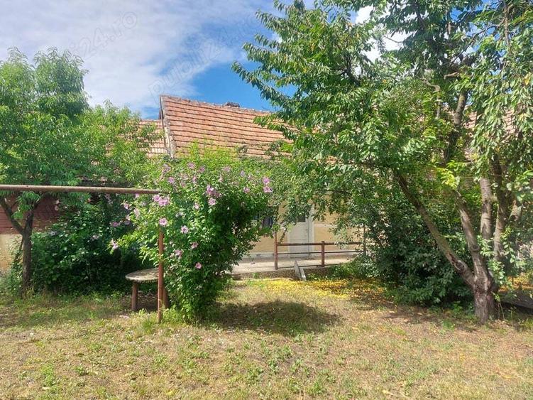 Casa cu gradina in Blaj - 6