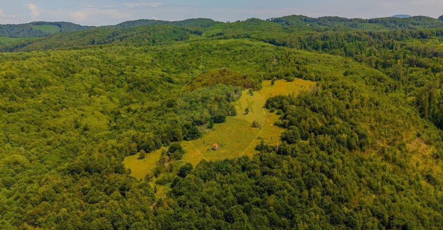 COMISION 0% Teren Grid/Inima Naturii/ Oportunitate de inv... - 5