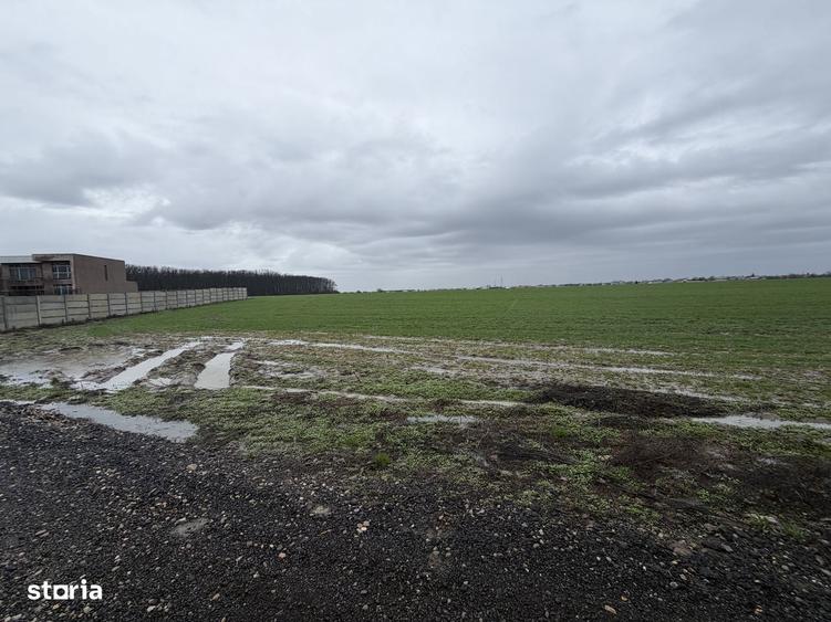 Teren intravilan de 7500 mp - 3