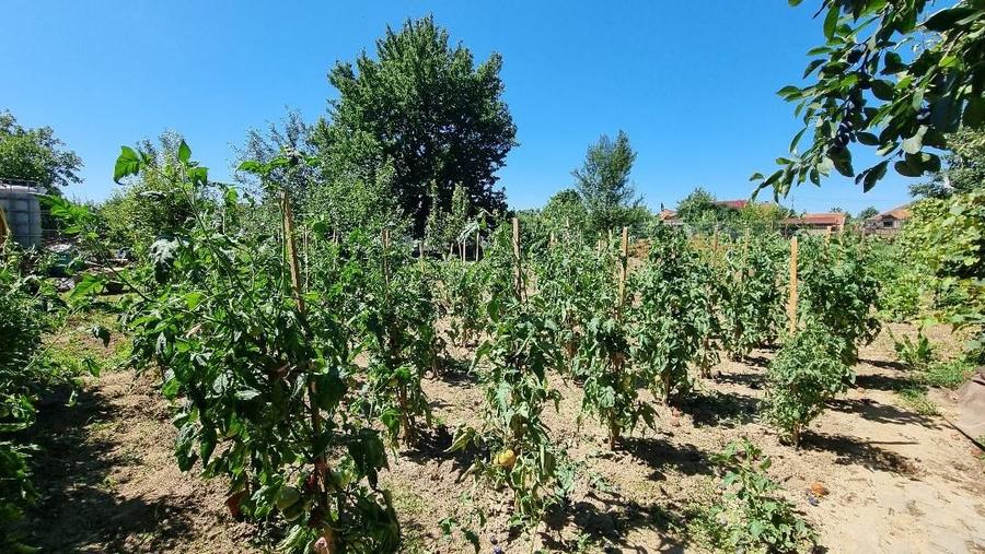 Casa finisata in Lazuri cu teren 1452 mp - 15