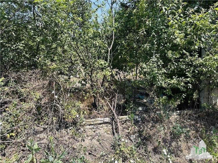 TEREN STRADAL GIULESTI, 50000 mp, la asfalt, intravilan, toate utilitatile, pent - 7