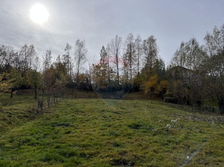 Teren de Vis in Bran - 1000mp Plat, Liniste Absoluta si Aer Curat - 17