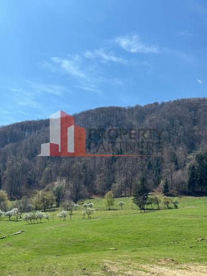 Terenuri Bran - Predelut  Priveliște către Bucegi și Postăvaru - 14