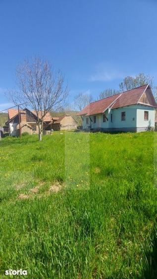 Casa autentica 3.100 mp teren, livada si parau I Lisnau - 4