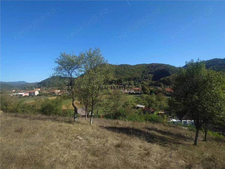 14075 mp teren partial intravilan, cu acces la utilitati - Criscior - 4