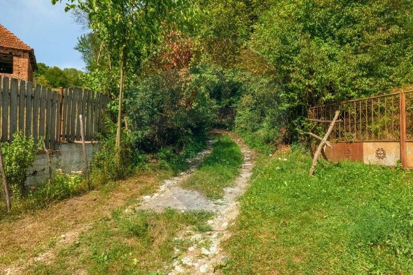 Casa veche cu teren ,Varmaga jud Hunedoara - 8