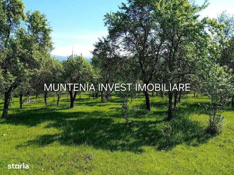 Teren 5596 mp. Com.Bradulet ,sat Galesu. - 4