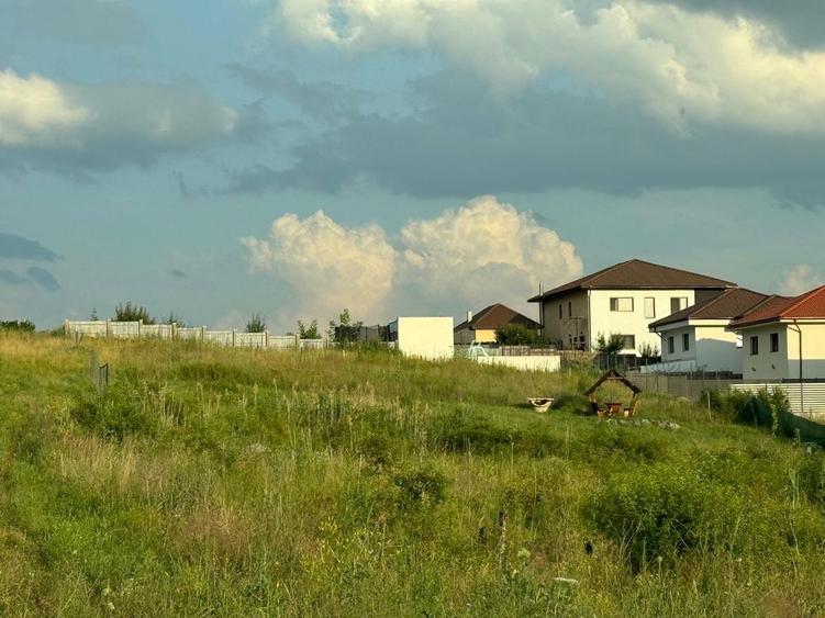 Teren intravilan 548 mp - 5