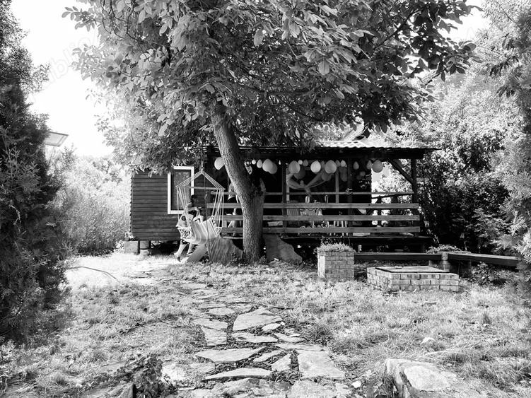 Cabana Insula Mures | 3 insule | cu iesire la Mures - 4