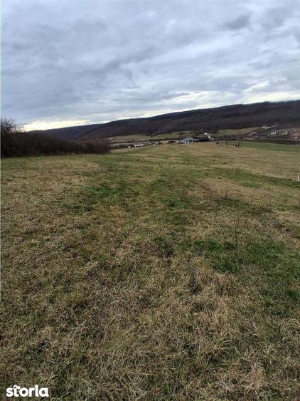 RECO Teren intravilan 5487 mp cu dublu front stradal-zona Betfia - 2