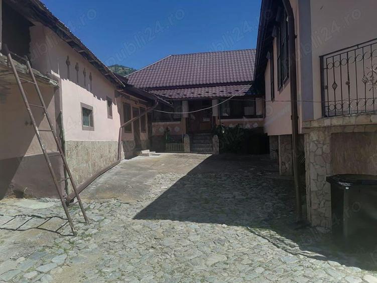 Casa si Teren Tara Lovistei Greblesti - 2