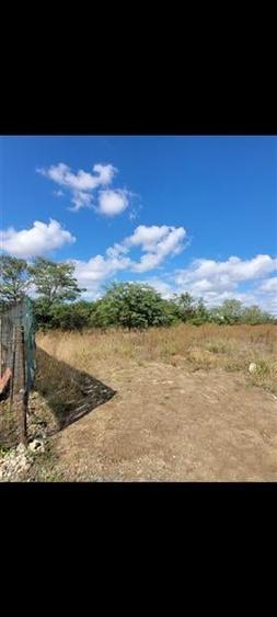 Viitorul Tau Incepe Aici - Teren de 1000 mp Soseaua Constantei spre Cumpana - 3