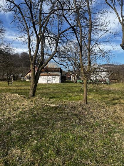 Teren, casa si anexe de vanzare, Viseu de Jos - 4