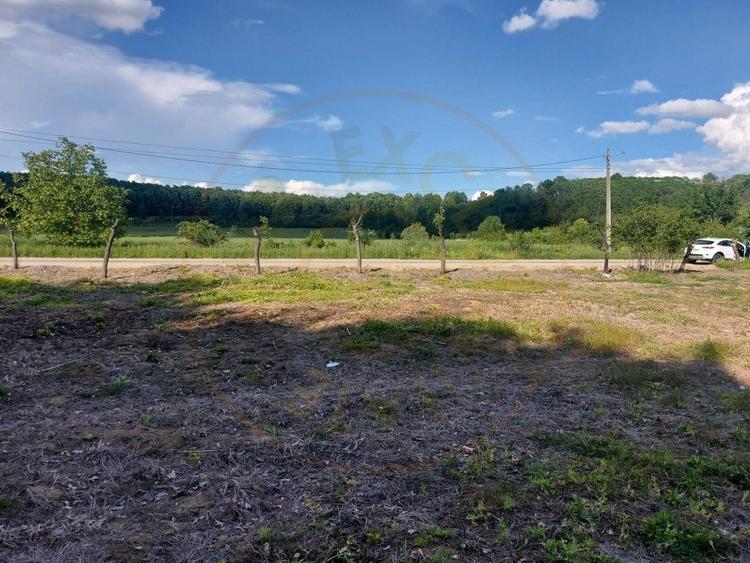 Teren intravilan 1843 mp - Cerbu/Albota/Arges - cu proiect de casa pe parter - 4