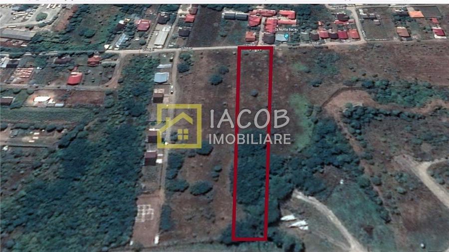 Teren 6208 mp Bacau / Strada 2 Stejari - 3