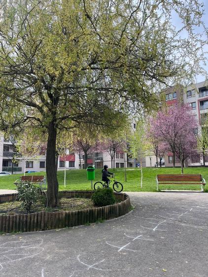 Apartament superb de inchiriat cu pisicina in complex - 4