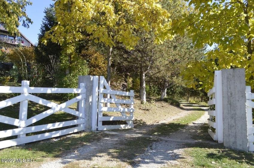 Topoloveni - Conacul Ion Mihalache, Domeniu pe 5 Hectare! - 3