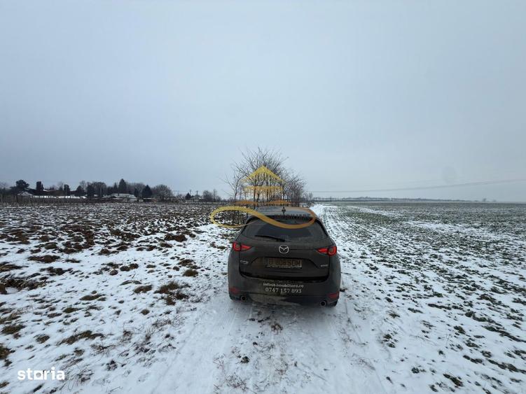 Teren agricol extravilan in Itesti de vanzare - 3