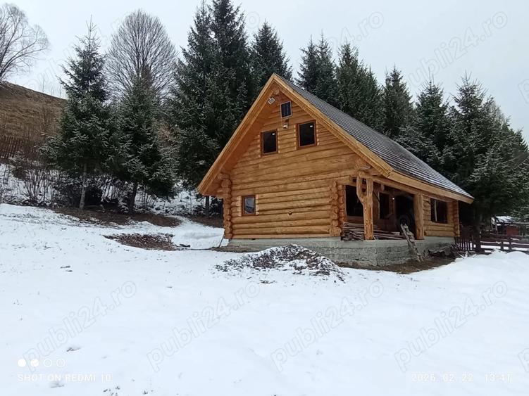 Cas de bustean de vanzare - 1