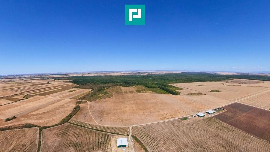 Teren agricol intravilan de 558500 mp, în Chevereșu Mare