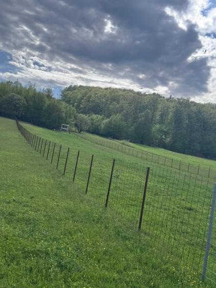 Teren Construcții intravilan de 2500 mp, în Marginea