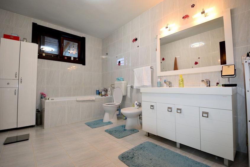 Casă individuală cu 8 camere cu Canalizare în Sânandrei