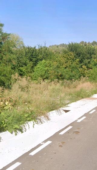 Teren de 2000 mp, în Valea