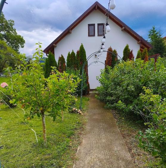 Casă individuală cu 4 camere cu Teren 11000 Mp în Central