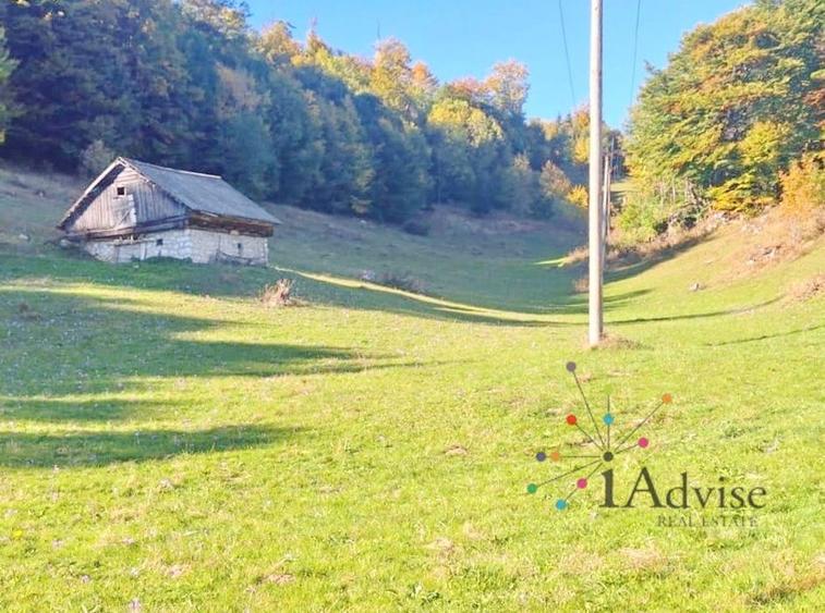 Teren Construcții intravilan de 16500 mp, în Ciocanu