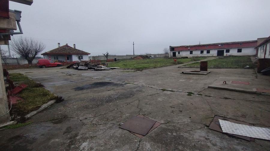 Teren industrial intravilan Ovidiu - 4