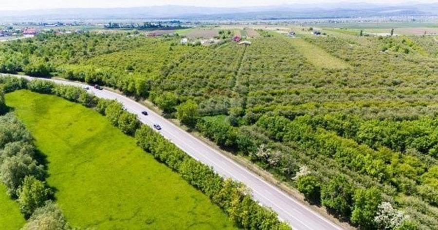 Teren extravilan, 7200 mp, cu deschidere la DN2 - E85, Falticeni - 2
