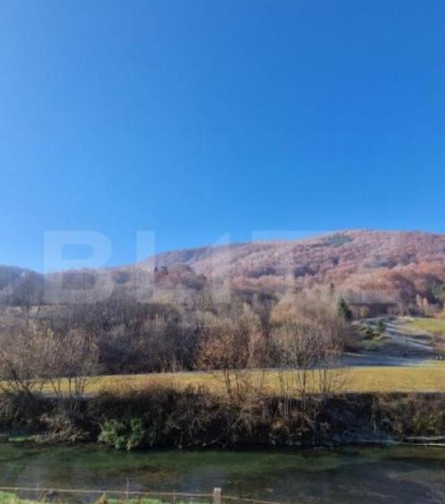 Teren extravilan - Sita Buzaului -6800 mp posibilitate trece - 9